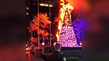 В центре Манхэттена подожгли 15-метровую рождественскую елку