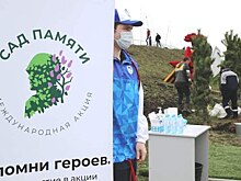 Жителей Ростовской области пригласили поучаствовать в Международной акции «Сад Памяти»