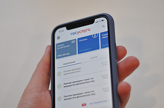 Россиян предлагают стимулировать к получению госуслуг в электронном виде