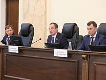На Кубани примут новый закон о семеноводстве