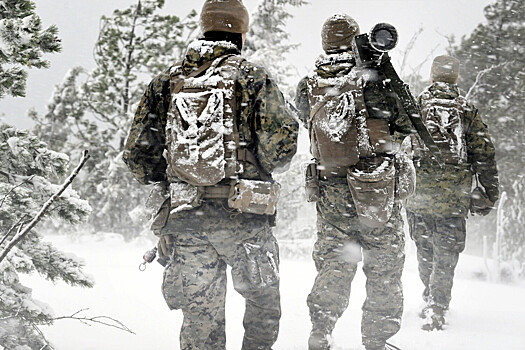 СМИ: увольнение генералов шокировало вооруженные силы США