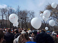 Птица высокого полета строительного рынка Новосибирска