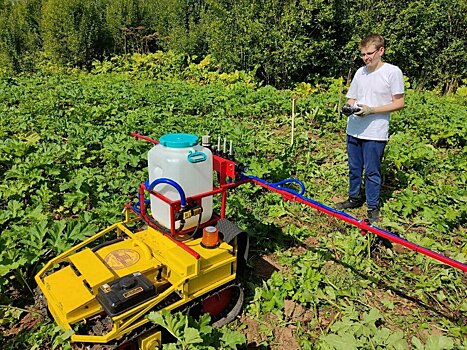 Студент Вятского ГАТУ изобрёл роботизированную платформу для борьбы с борщевиком