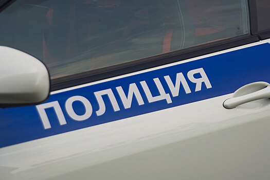 В Петербурге оформили 13 протоколов на водителя без прав