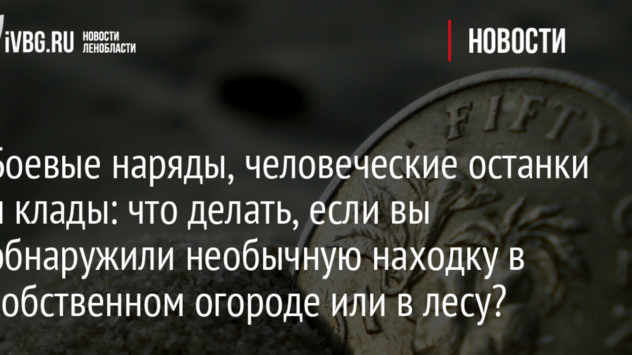 Боевые наряды, человеческие останки и клады: что делать, если вы обнаружили  необычную находку в собственном огороде или в лесу? - Рамблер/новости