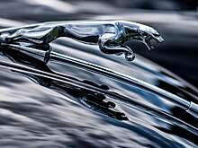 Jaguar Land Rover отзовет тысячи автомобилей: причина и подробности