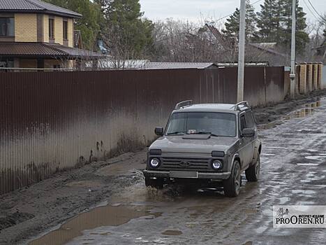 За сутки в Оренбуржье от воды освободилось порядка 2 тысяч жилых домов и приусадебных участков