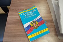 Руководителю УК из Химок ограничили свободу за травмирование ребенка из-за падения льда с балкона