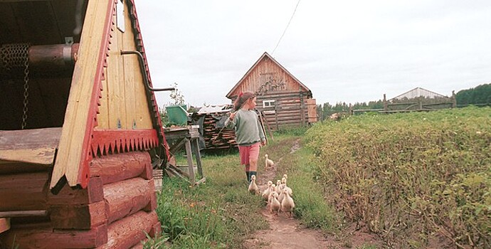 Уральцы испытывают трудности при регистрации дачных домов