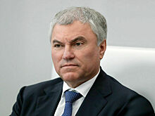 Володин призвал учитывать особенности регионов при субсидировании сельхозпроизводителей