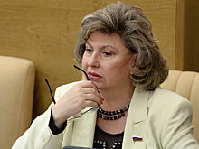Москалькова предложила новый вид уголовной ответственности