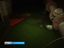 В Калининграде дом на Лесопильной затопило нечистотами