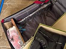 Путешественница забыла закрыть свой чемодан на Бали и поплатилась