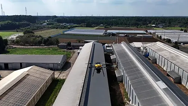 В Японии испытали лазерные дроны для защиты птицефабрик