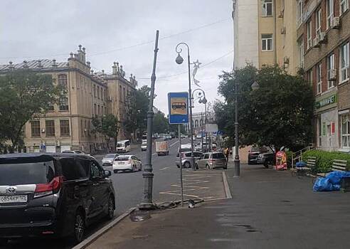 За трое суток во Владивостоке автомобилисты сбили четыре фонаря