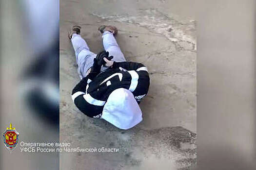 ФСБ задержала челябинца по подозрению в призывах к терроризму и экстремизму