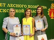 Победителей фотоконкурса акции «Лес Победы» наградили в Подмосковье