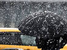 В Москве сегодня пройдет мокрый снег