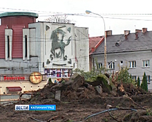 На стройке у Дома искусств в Калининграде обнаружены человеческие останки