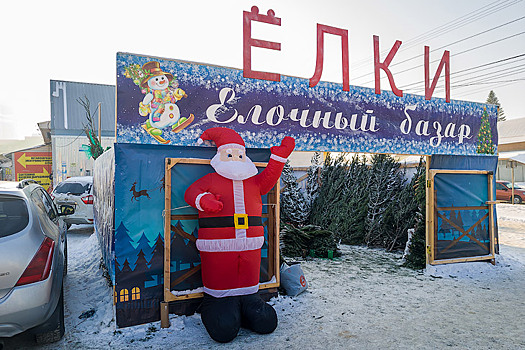 К Новому году-2025 начали готовиться в Новосибирске