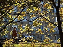 Московские синоптики обещают теплые выходные