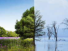 В РФ разработали рекомендации для адаптации регионов к изменению климата