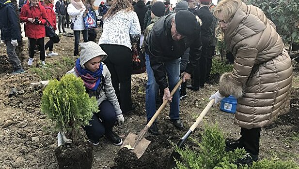 В центре Ялты появился сквер в честь "Крымской весны"