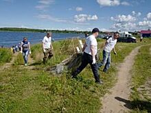В Рыбинском районе прошла акция «Чистый берег»