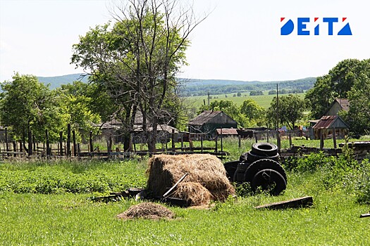 Животных и птиц хотят разрешить покупать на маткапитал