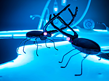 Детский Weekend «Золотой Маски»: лучшие спектакли