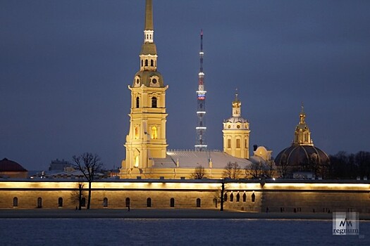 Глава музея истории Петербурга в Петропавловской крепости подал заявление об уходе