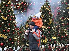 Названы сроки демонтажа новогодних елок