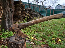 Омские дачники воюют из-за электричества