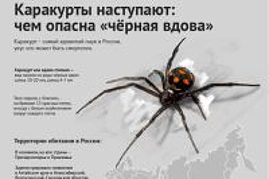 Какие животные в Ростовской области самые опасные для человека?