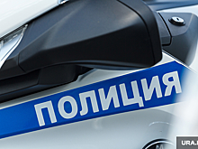Жители Копейска устроили драку в магазине