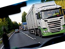 «Платон» показал в ушедшем году рекордные сборы