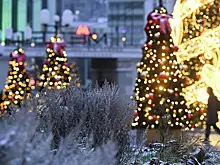 Москвичам предсказали аномальный Новый год