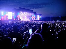 На фестивале «Дикая Мята» будет работать выездной ЗАГС