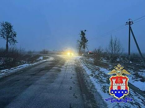 В Гурьевском районе пьяный водитель врезался в дерево, но дело возбудили только спустя год после ДТП