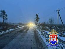 В Гурьевском районе пьяный водитель врезался в дерево, но дело возбудили только спустя год после ДТП