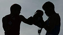 Торреалба: во Всемирной академии бокса WBA начнут преподавать по-русски