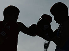 Торреалба: во Всемирной академии бокса WBA начнут преподавать по-русски