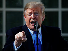 Трамп призвал Европу забрать своих боевиков из Сирии