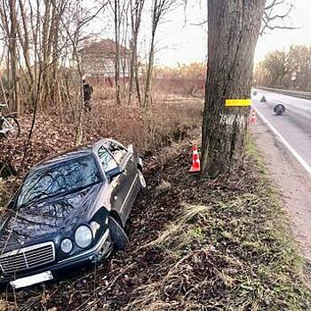 Женщина на «Мерседесе» врезалась в дерево и вылетела в кювет на Энергетиков в Калининграде