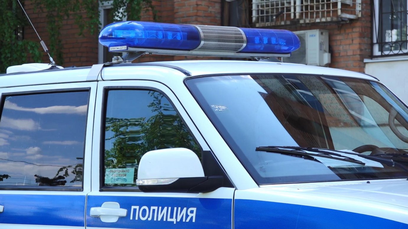 В Пензе наемный работник избил и ограбил заказчицу