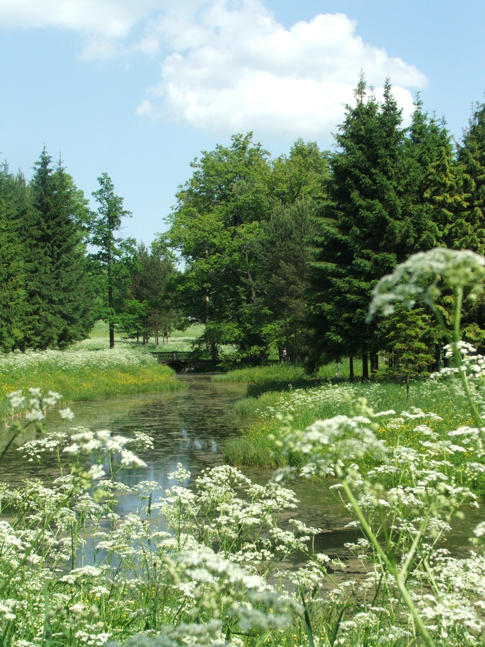 Царское село