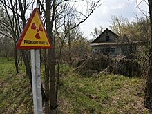 В зоне отчуждения ЧАЭС задержали две группы сталкеров