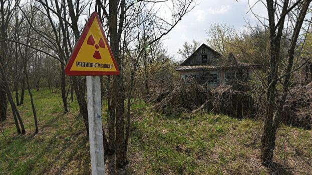 В зоне отчуждения Чернобыльской АЭС за сутки задержали 17 сталкеров