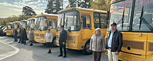 В образовательные организации Новосибирской области передали 49 новых школьных автобусов