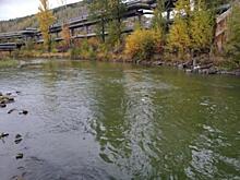 Активисты обвинили челябинское минэкологии в ложном отчете